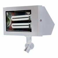 Dabmar Lighting DF5650-W Solid Brass Area Flood Light- White