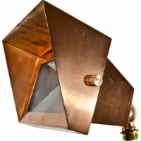 Dabmar Lighting LV117-CP Solid Brass Area Flood Light with Hood- Copper