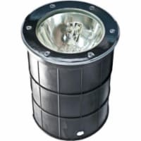 Dabmar Lighting DW1200-LED18-F 18W & 120-277V PAR38 LED Flood Stainless Steel Well Light with
