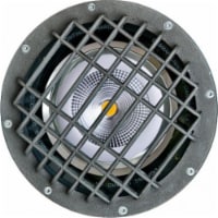 Dabmar Lighting FG4200-GRL-LED18-F 18W & 120V PAR38 LED Flood Fiberglass Well Light with Gril