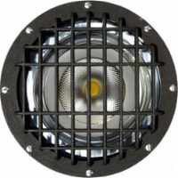Dabmar Lighting FG4300-GRL-LED18-F 18W & 120V PAR38 LED Flood Fiberglass Well Light with Gril