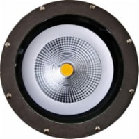 Dabmar Lighting FG4200-LED18-F 18W & 120V PAR38 LED Flood Fiberglass Well Light - Bronze