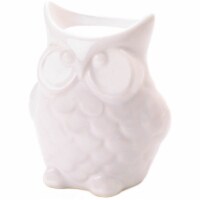 Zingz & Thingz Porcelain Friendly Owl Candle Oil Warmer in White