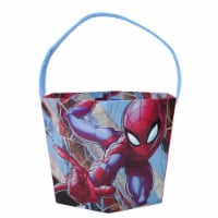 PTI Group Easter Hexagonal Spider Man Bucket Perspective: Main