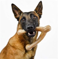 Pet Qwerks Wish BarkBone - For Aggressive Chewers, Bacon Flavor, Size L