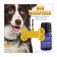 Dog Whisperer Large Collar Pet Diffuser Pendant + Essential Oil