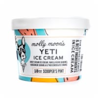 Molly Moon's Yeti Ice Cream Perspective: Main