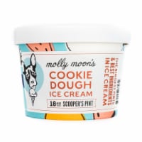 Molly Moon's Cookie Dough Ice Cream Perspective: Main