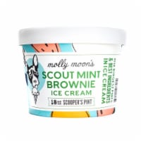 Molly Moon's Scout Mint Brownie Ice Cream Perspective: Main