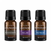 Everyday Essential Oils 3-Pack Perspective: Main