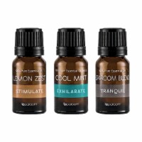 Signature Essential Oils 3-Pack Perspective: Main