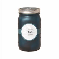 Modern Sprout 7006068 Basil Grow Kit