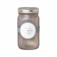 Modern Sprout 7006069 Mint Grow Kit