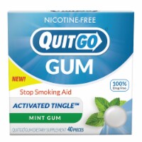 QuitGo Mint Stop Smoking Aid Gum