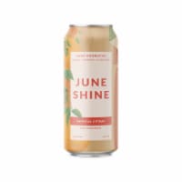 JuneShine Hopical Citrus Hard Kombucha Single Can Perspective: Main
