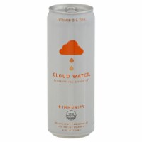 Cloud Water Immunity Water Sparkling Blood Orange Coconut 12 FO Perspective: Main