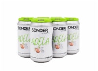 Sonder Brewing Adela Gose Beer Perspective: Main