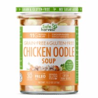 Safe Harvest Grain & Gluten Free Chicken "Noodle" Soup Perspective: Main