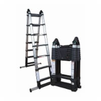 Xtend + Climb Telescoping Ladder,14 ft. Extended,Al  XXC714/300