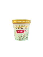 Gallivant® Pistachio Mawa Ice Cream Perspective: Main