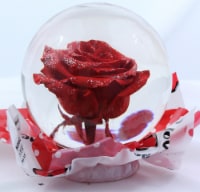 Mexiflower Rose Glass Bubble