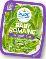 Pure Green Farms Baby Romaine Lettuce Perspective: Main