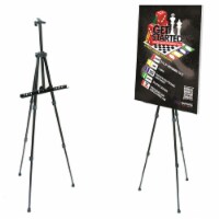 Pintar Art Supply 66” Professional Adjustable Artist Easel Stand with Travel Carrying Bag
