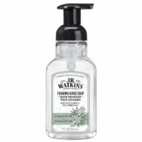 J.R. Watkins™ Foaming Hand Soap - Eucalyptus Perspective: Main