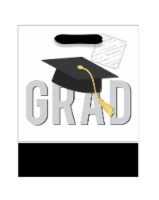 Surface Packaging Graduation Medum Gift Bag