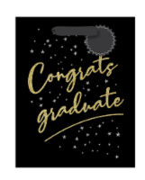 Surface Packaging Congrats Graduate Medium Gift Bag
