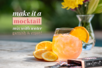 RSVP Skinnies™ Maui Mai Tai Cocktail Mixers (4 Pack)