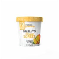 The Frozen Farmer™ Crafted Mango Sorbet Perspective: Main