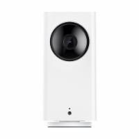 Wyze Cam Pan v2 Camera Perspective: Main