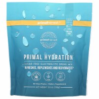 Electrolytes Powder Packets Primal Hydration by Primal Harvest Energy Drink Mix (Lemon Berry)