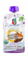 Loco Bebe Caribbean Pumpkin Organic Stage 1 Baby Food Pouch