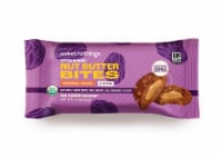 Sweet Nothing Organic Oatmeal Raisin Nut Butter Bites Perspective: Main