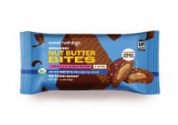 Sweet Nothings Organic Chocolate Peanut Butter Nut Butter Bites Perspective: Main