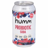 Humm Kombucha® Berry Cream Probiotic Soda Perspective: Main