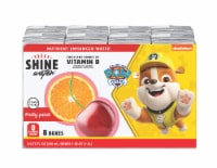 ShineWater® Fruity Punch Nutrient Enhanced Flavored Water Drink Boxes Perspective: Main