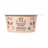 Painterland Sisters™ Organic Skyr Strawberry Yogurt Perspective: Main