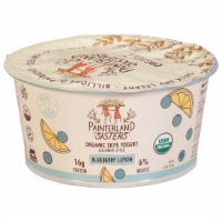 Painterland Sisters™ Blueberry-Lemon Organic Skyr Yogurt Cup Perspective: Main