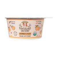 Painterland Sisters™ Peach Organic Skyr Yogurt Cup Perspective: Main