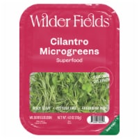 Wilder Fields™ Cilantro Microgreens Perspective: Main