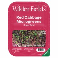 Wilder Fields™ Red Cabbage Microgreens Superfood Perspective: Main