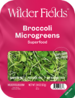 Wilder Fields Broccoli Microgreens Perspective: Main
