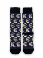 Colorado Limited Sky Blue Solar Rayz Socks Perspective: Main