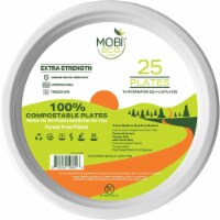 Natural Compostable, Biodegradable, Disposable Eco-friendly Bagasse 10 inch Plates, 25-Pack