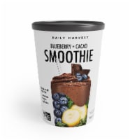 Daily Harvest Blueberry + Cacao Smoothie