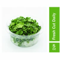Fresh Cut Chopped Cilantro with White Onions