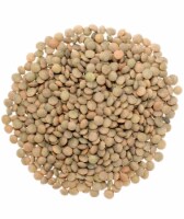 Palouse Brand Brown Lentils 18 lbs Perspective: Main